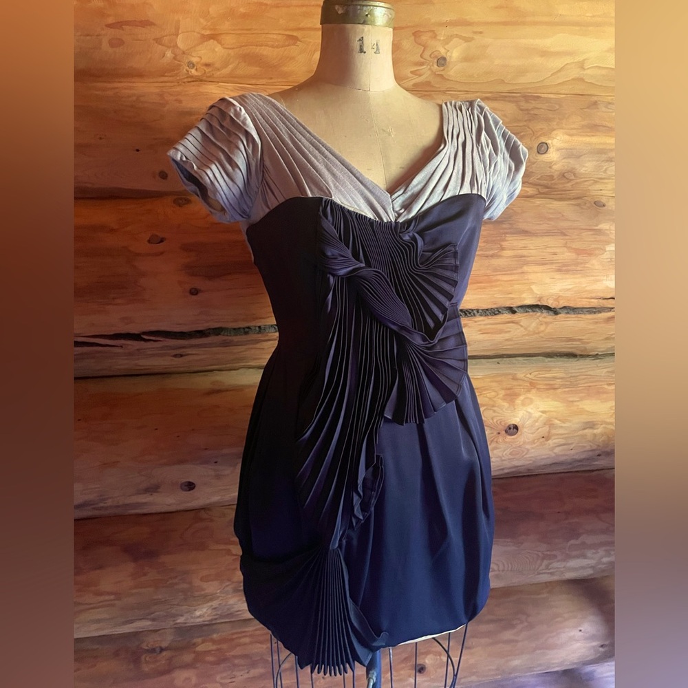 Beautiful runway collection cocktail dress from  BCBG.